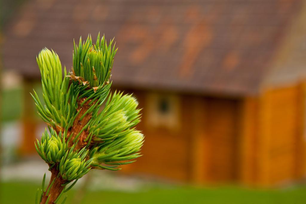 Partsilombi Holiday Home Отепя Экстерьер фото